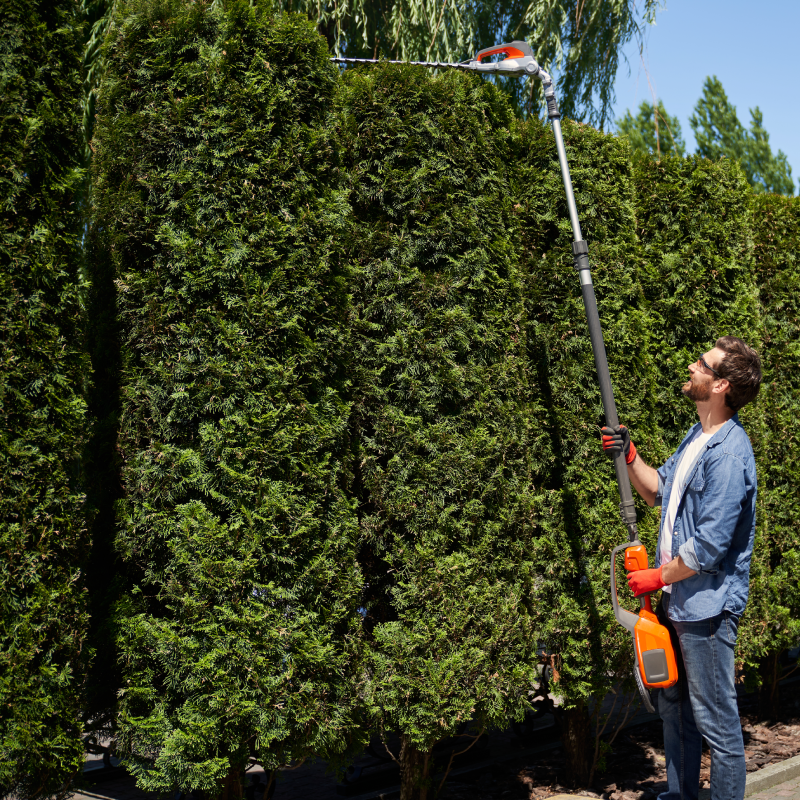 LP Verdure La Greneytouse