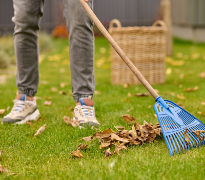 LP Verdure La Greneytouse